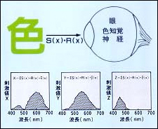 色覚と三刺激値